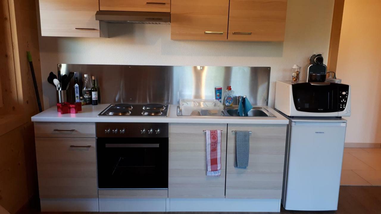 Joli studio meublé de 38m2 dans chalet construit en 2016 Apartamento Leysin Exterior foto
